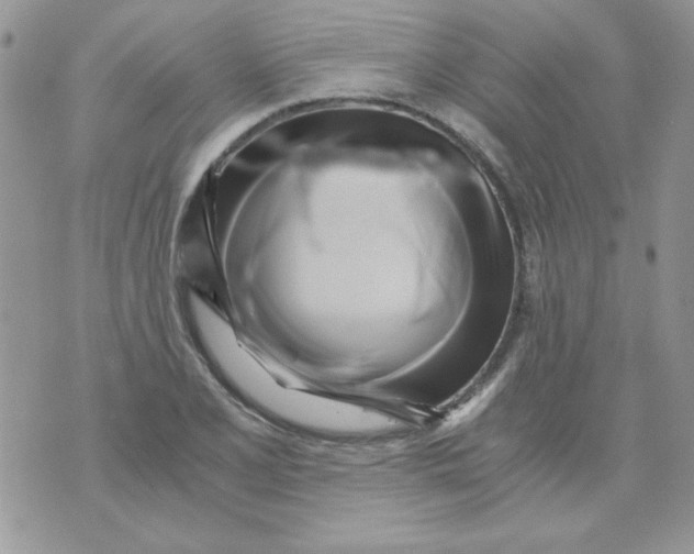 X0000071381077200607212206