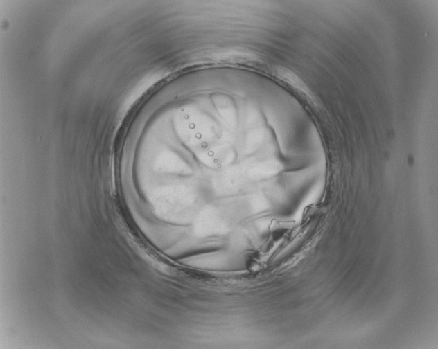 X0000071381079200607212206