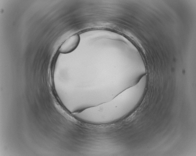 X0000071381080200607212206