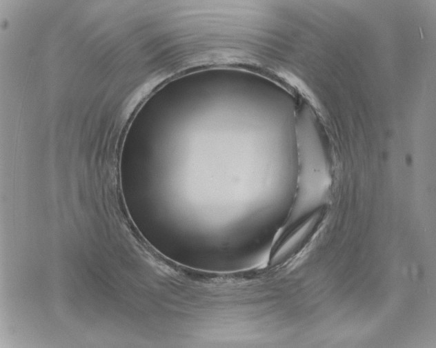 X0000071381081200607212206