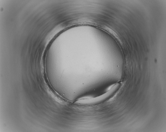 X0000071381082200607212206