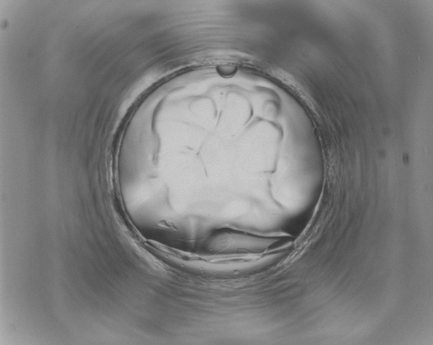 X0000071381083200607212206