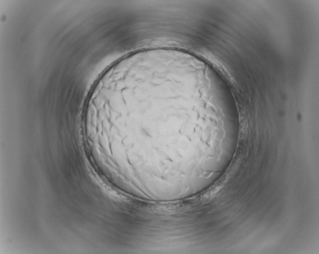 X0000071381086200607212206