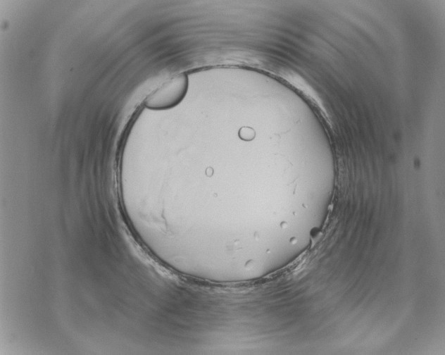 X0000071381088200607212206