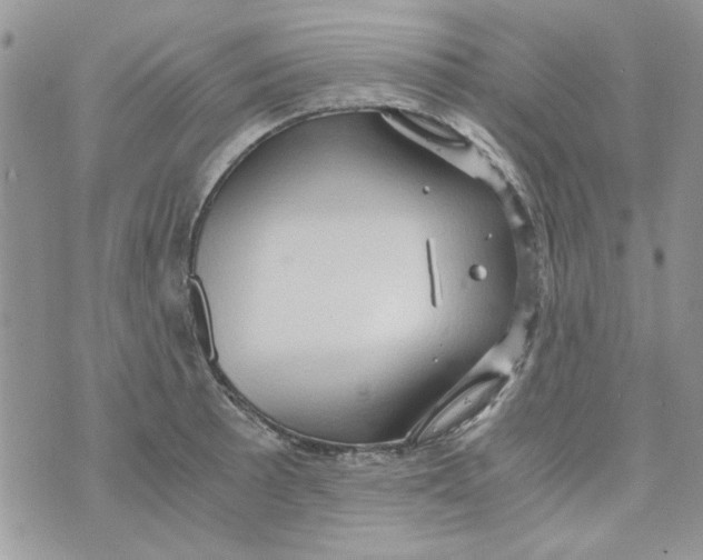 X0000071381089200607212206