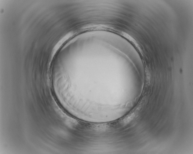 X0000071381090200607212206