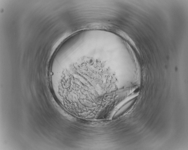 X0000071381091200607212206