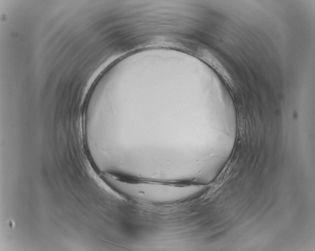 X0000071381092200607212206