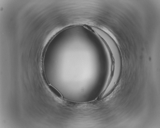 X0000071381093200607212206