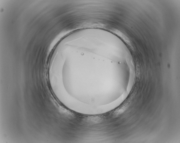 X0000071381094200607212206