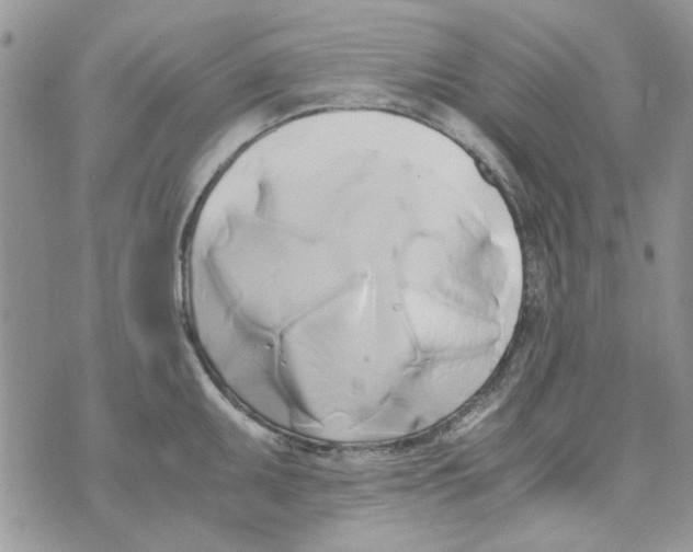 X0000071381095200607212206