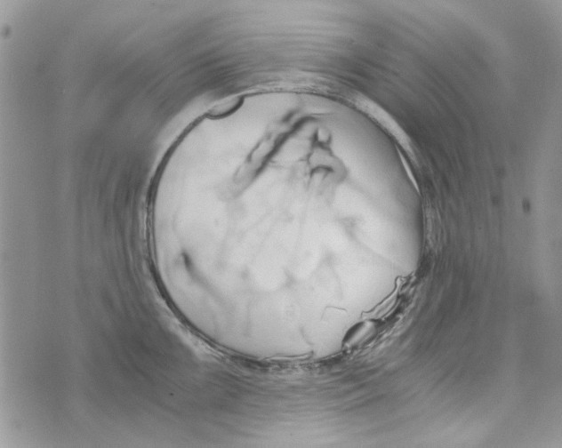 X0000071381099200607212206