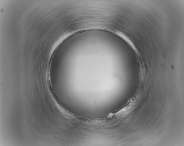 X0000071381101200607212206