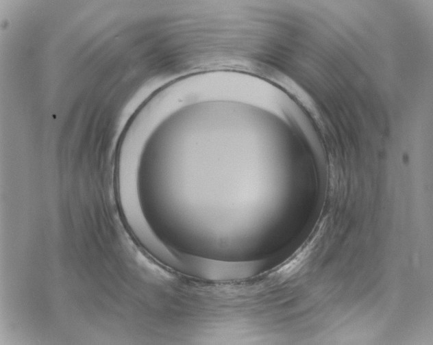 X0000071381102200607212206