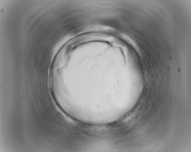 X0000071381103200607212206