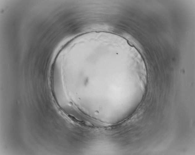 X0000071381104200607212206