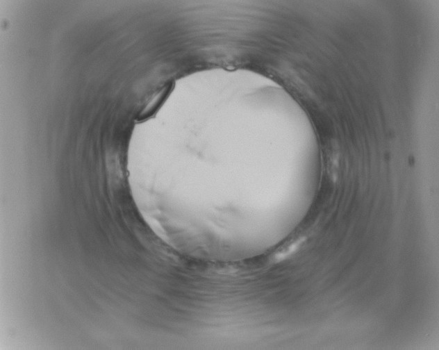 X0000071381106200607212205