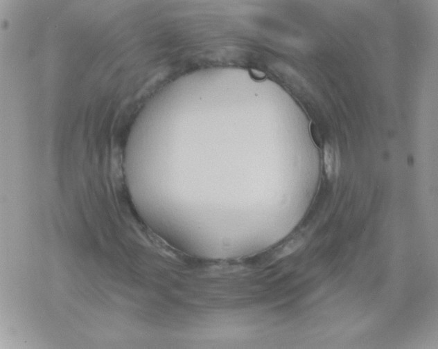 X0000071381107200607212205