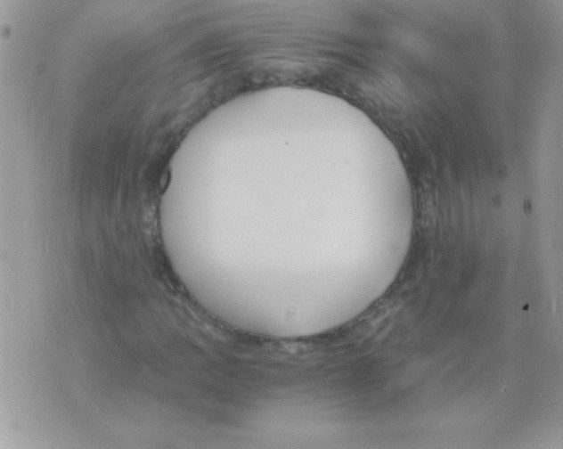 X0000071381109200607212205