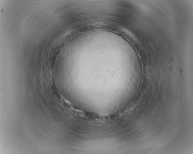 X0000071381111200607212205