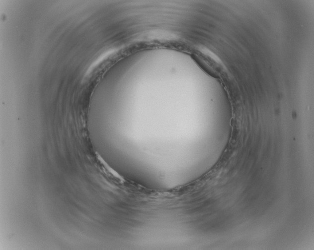 X0000071381112200607212205