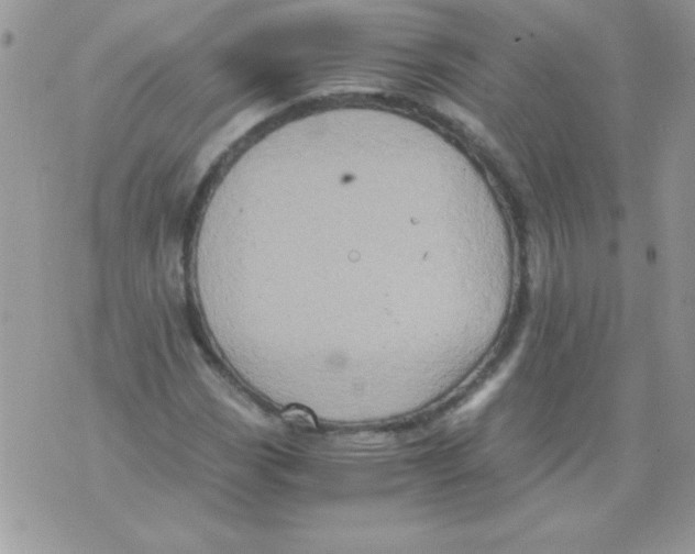 X0000071381113200607212205