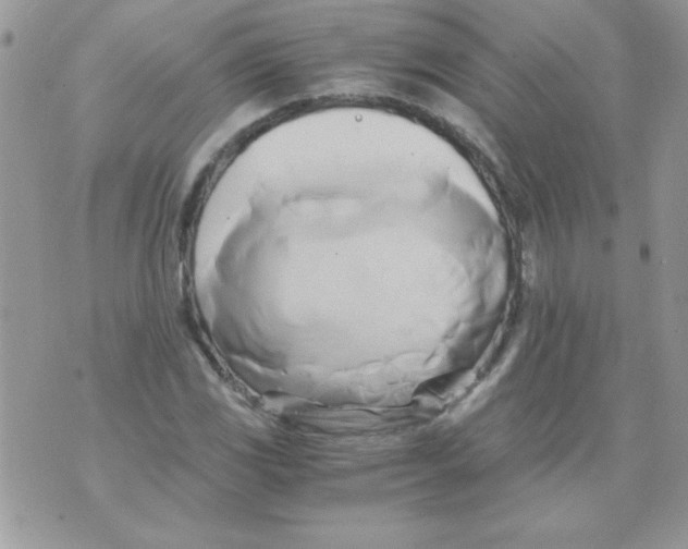 X0000071381117200607212205