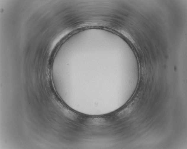 X0000071381119200607212206