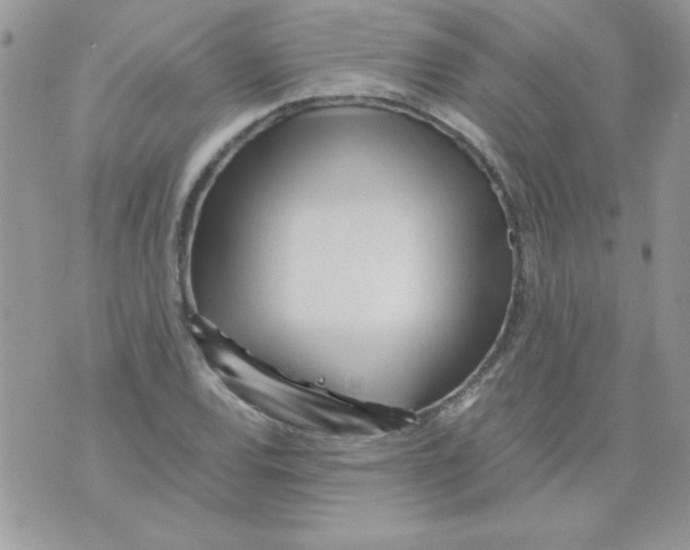 X0000071381120200607212206