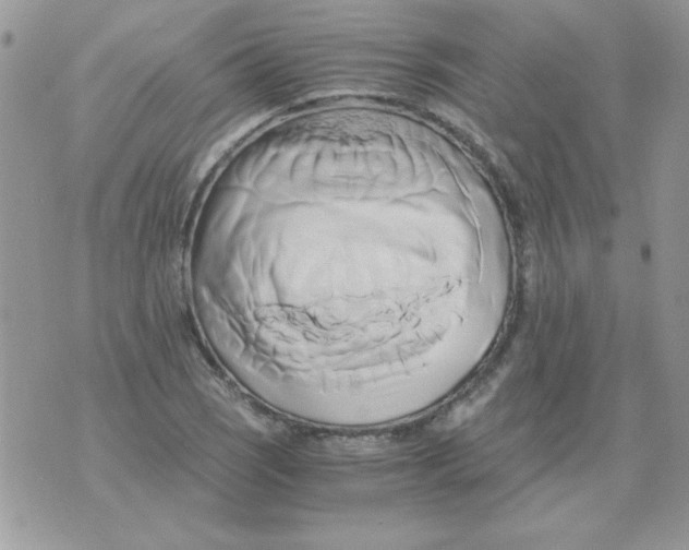 X0000071381121200607212206