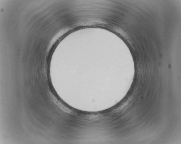 X0000071381122200607212206