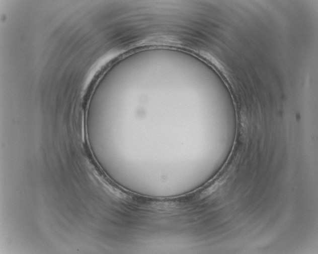 X0000071381123200607212206