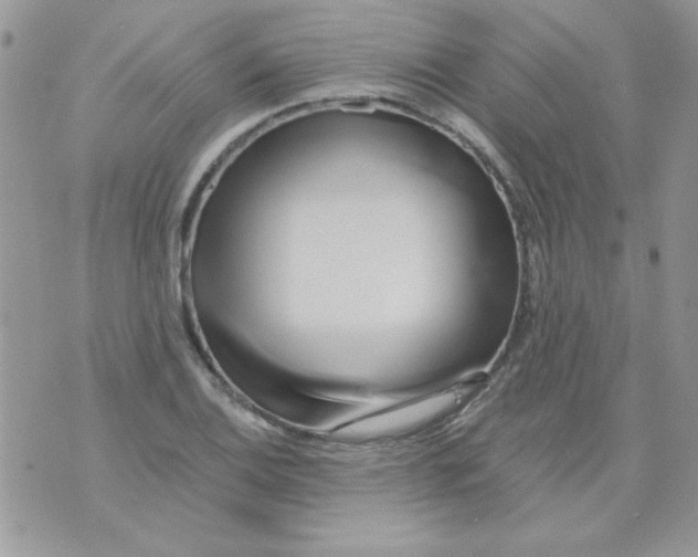 X0000071381124200607212206