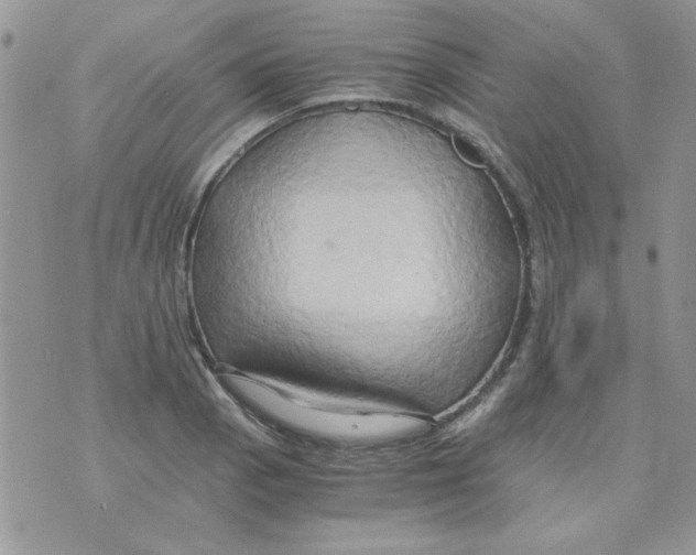 X0000071381129200607212206