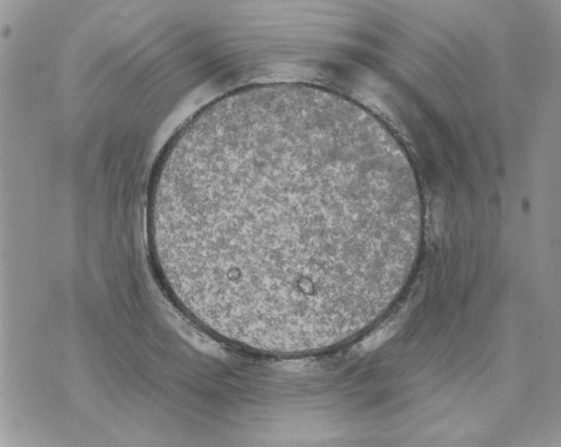 X0000071381130200607212206