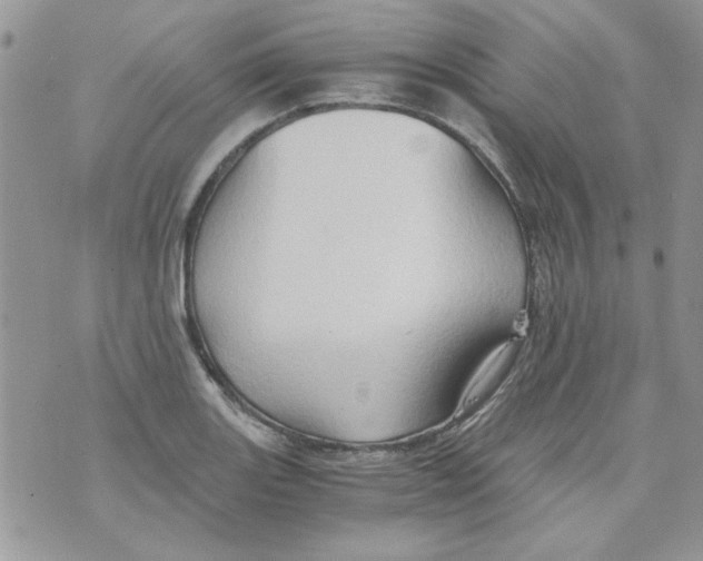 X0000071381131200607212206