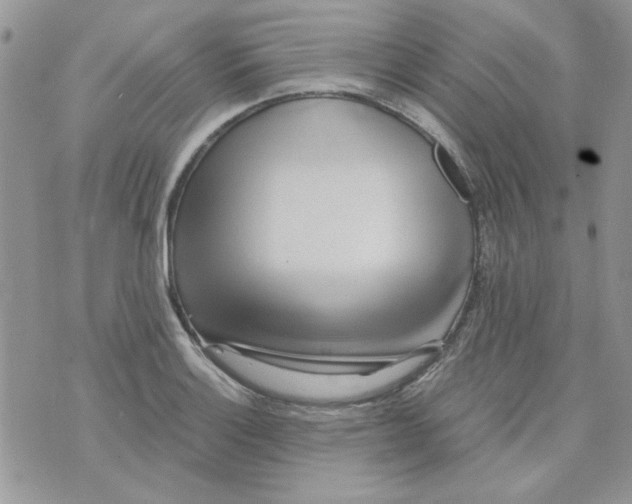 X0000071381132200607212206