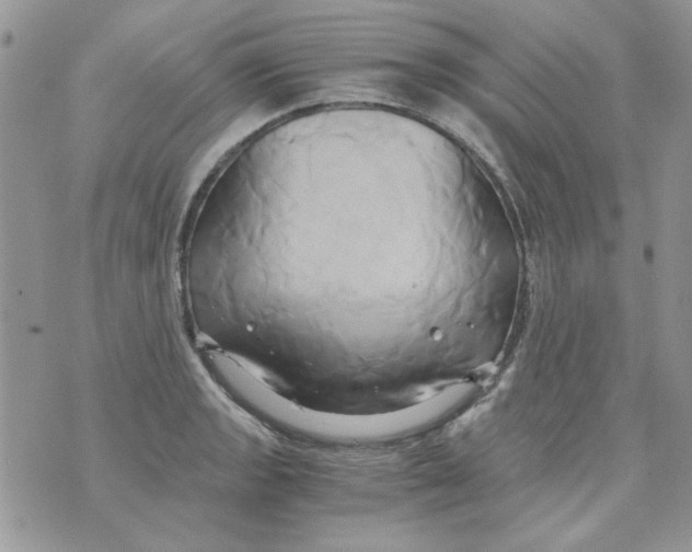 X0000071381133200607212206