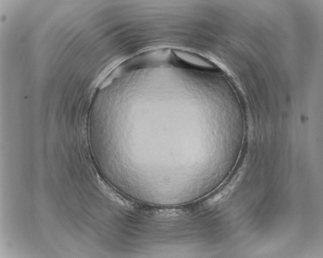 X0000071381137200607212206