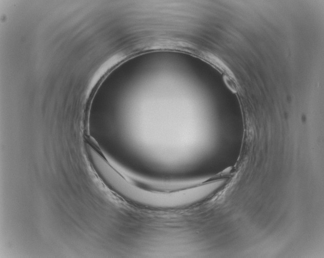 X0000071381138200607212206