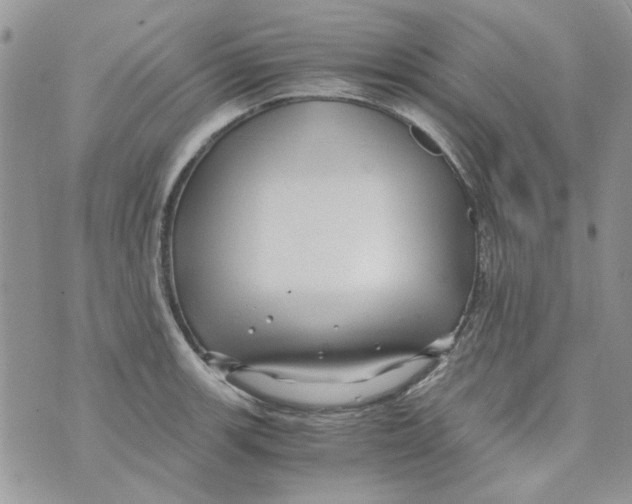 X0000071381139200607212206