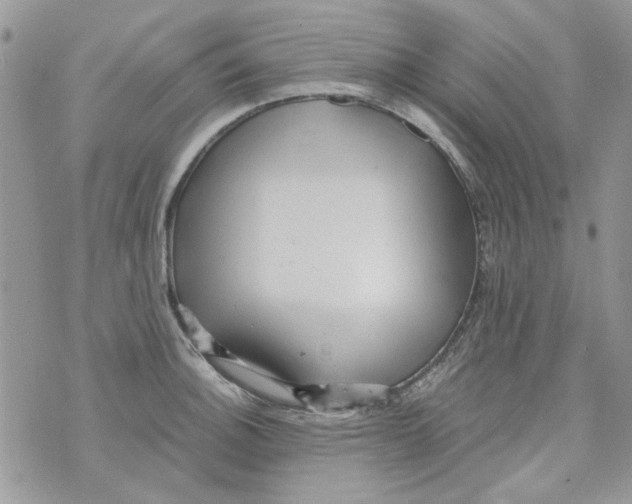 X0000071381140200607212206