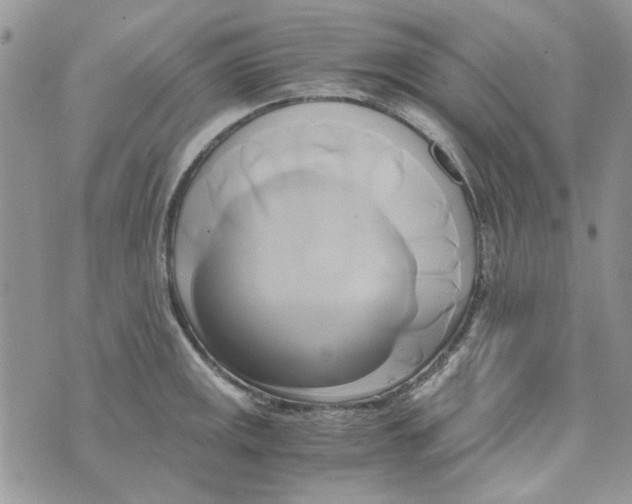 X0000071381141200607212206