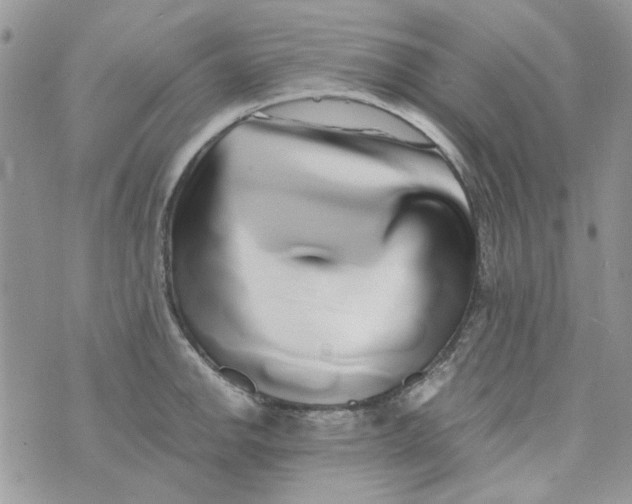 X0000071381142200607212206