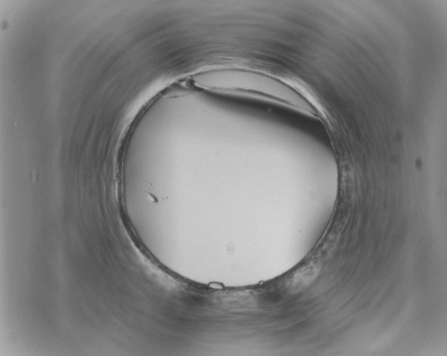 X0000071381143200607212206