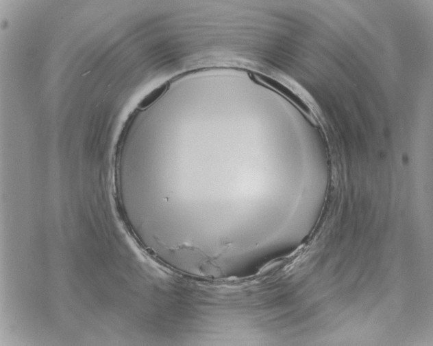 X0000071381144200607212206