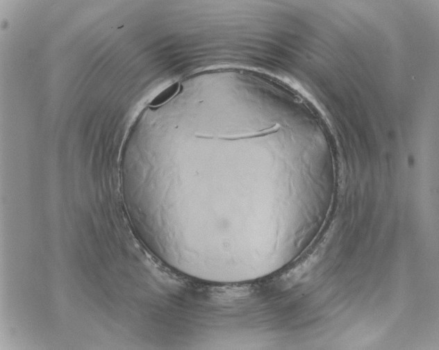 X0000071381145200607212206