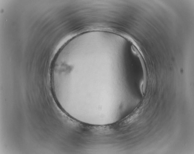 X0000071381147200607212206