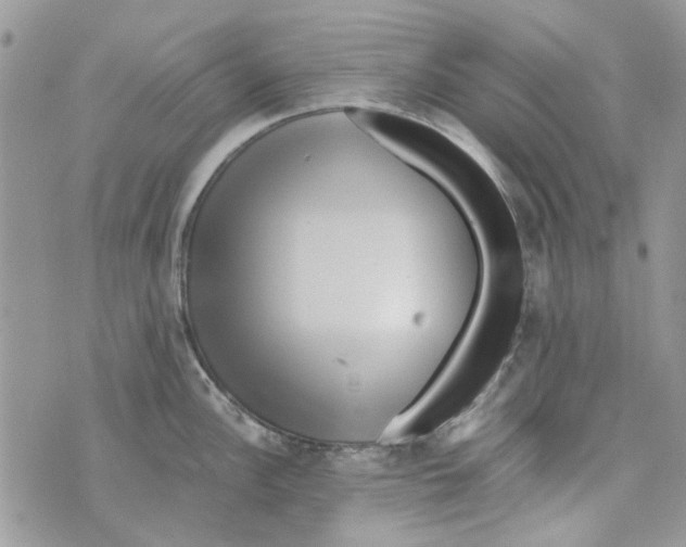 X0000071381148200607212206