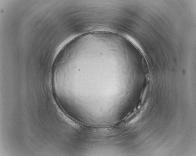 X0000071381149200607212206